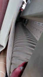 20221001_150855_copy_577x1024